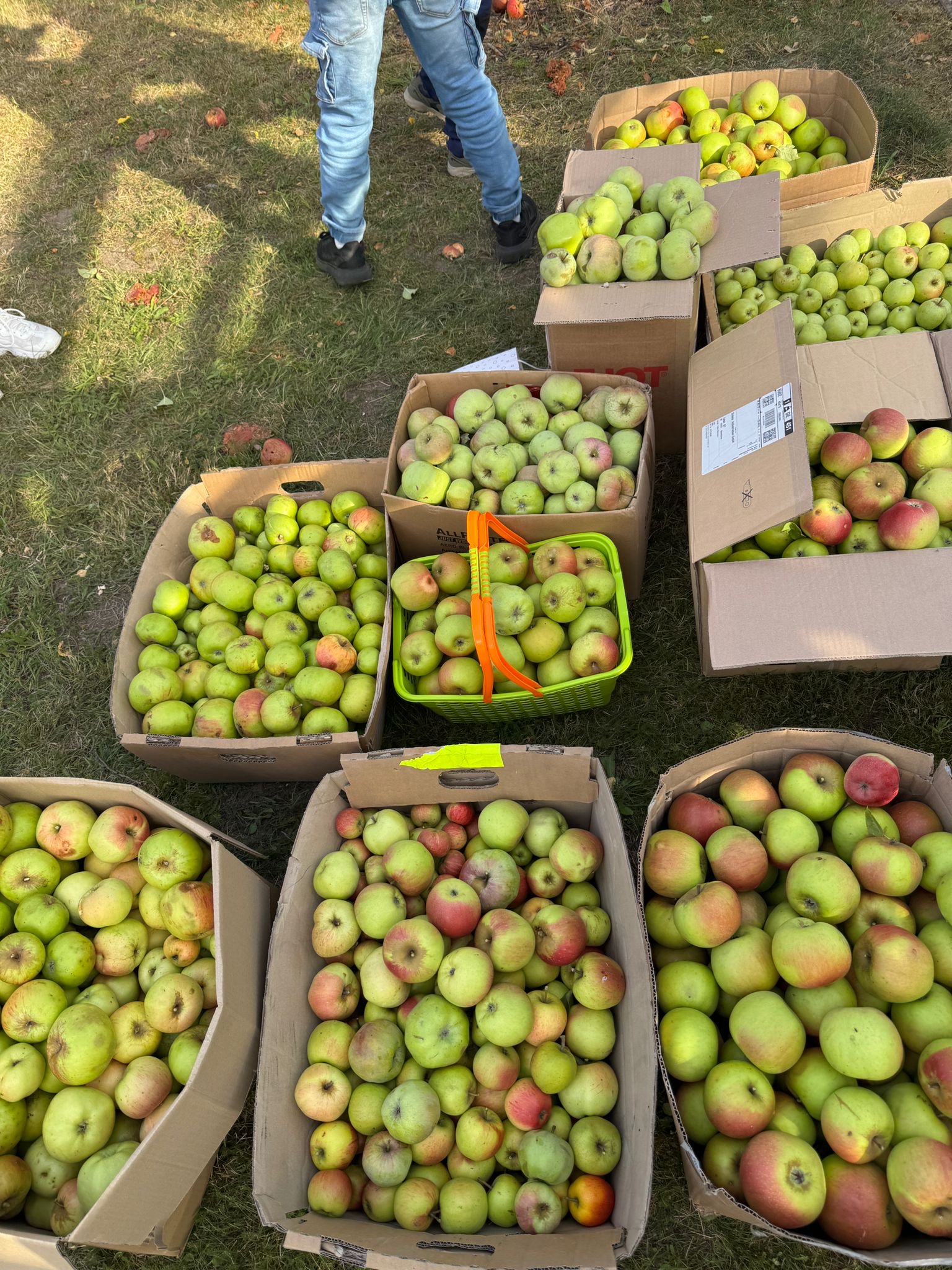 homepages3d768283341htdocsSUGwp-contentuploads202508Ausbeute-9