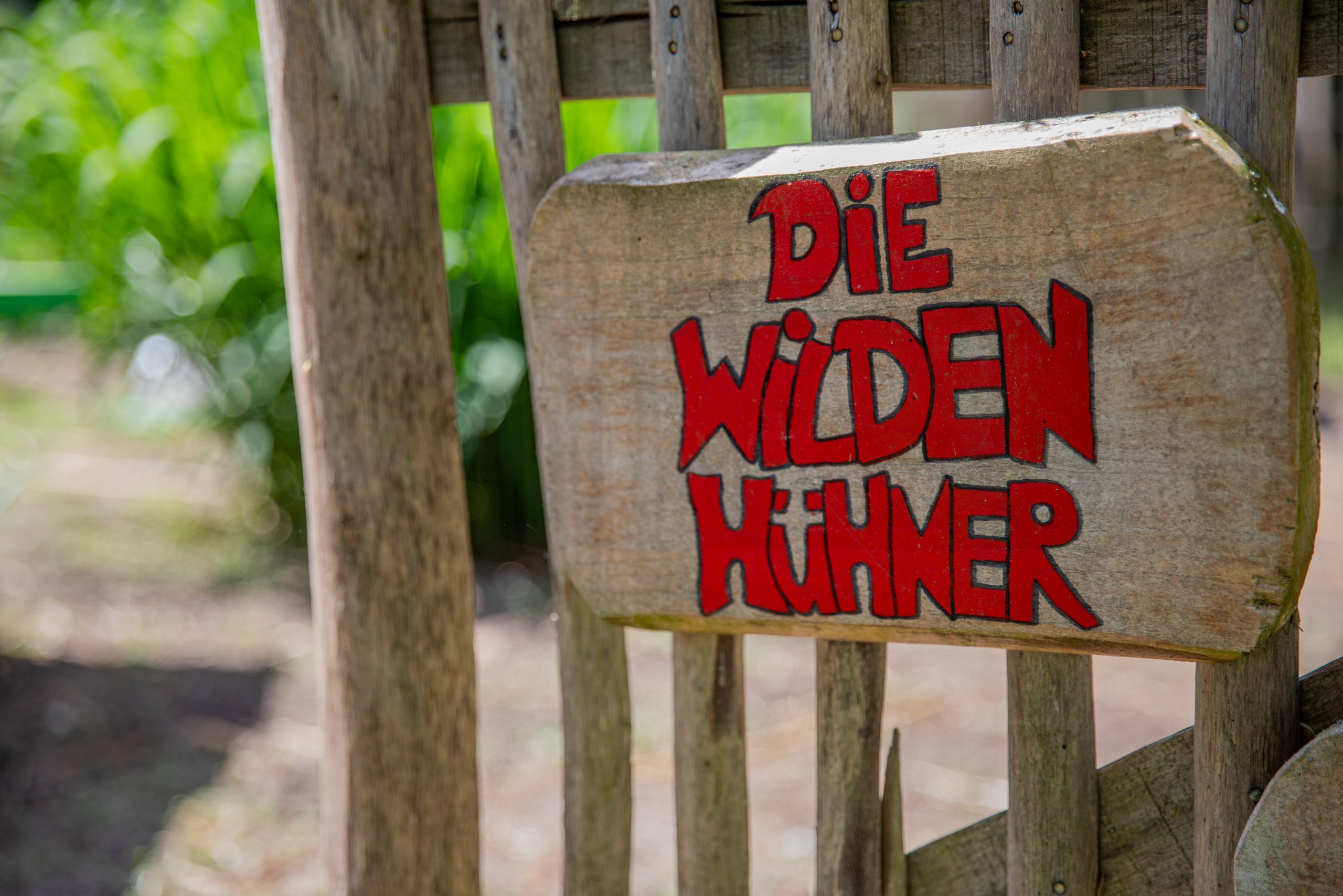 homepages3d768283341htdocsSUGwp-contentuploads202510GPM-337-1-scaled-4