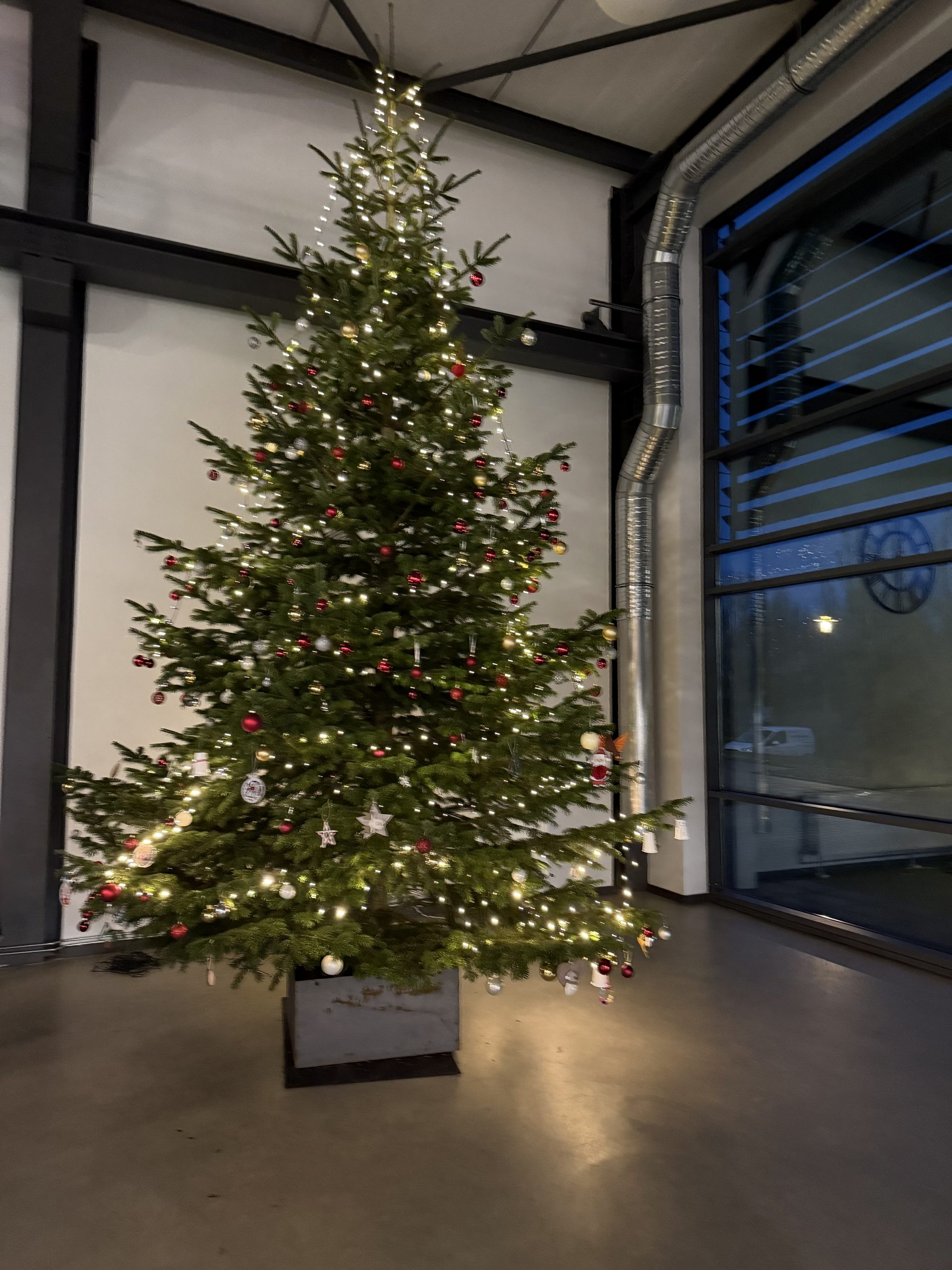 homepages3d768283341htdocsSUGwp-contentuploads202511IMG_8639-scaled-1